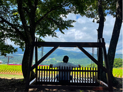 ベンチに座って景色を眺める様子