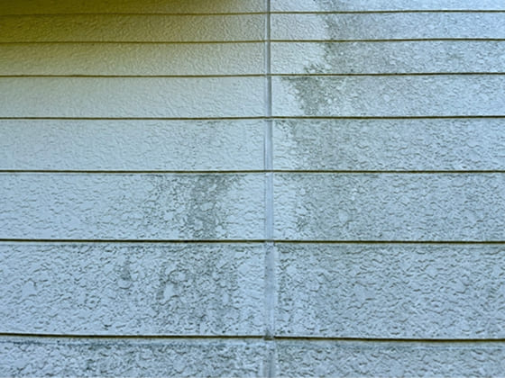 コケ・カビ・黒ずみが気になる