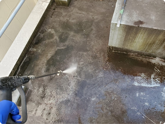 床にコケ・藻がついている,洗浄,外壁塗装